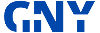 güney dijital logo